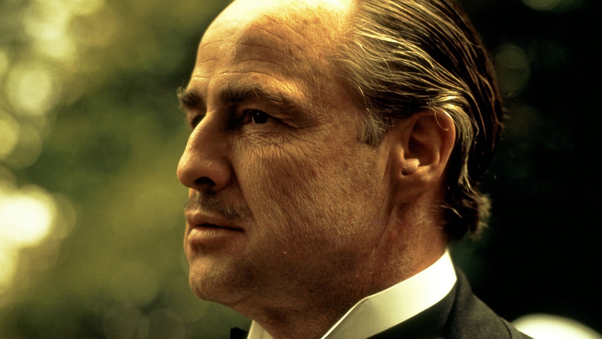 Movies The Godfather Vito Corleone Wallpaper And Background - Godfather Don Corleone Hd , HD Wallpaper & Backgrounds