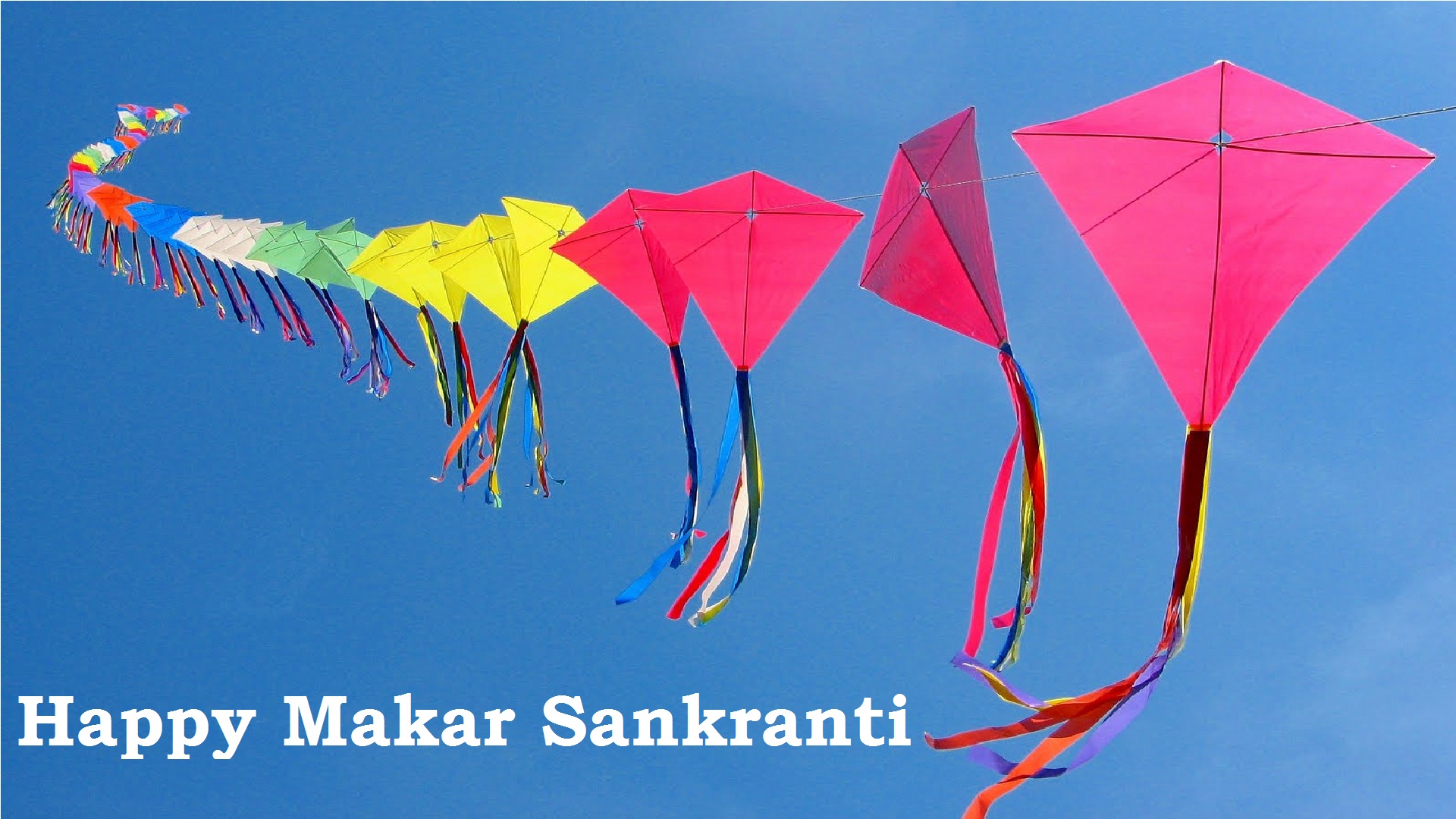 Happy Sankranti Images - Makar Sankranti , HD Wallpaper & Backgrounds