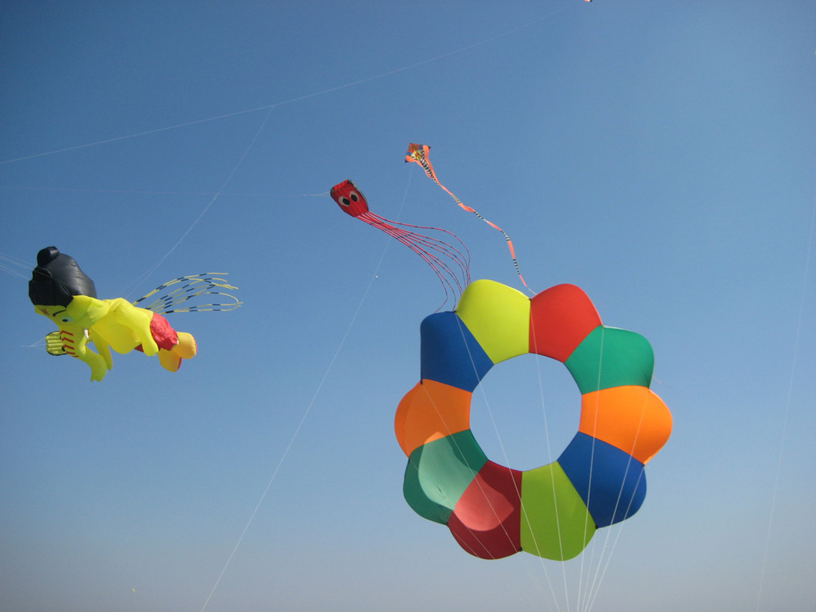 Indian Kite Festival Happy Makar Sankranti High Definition - Kite , HD Wallpaper & Backgrounds