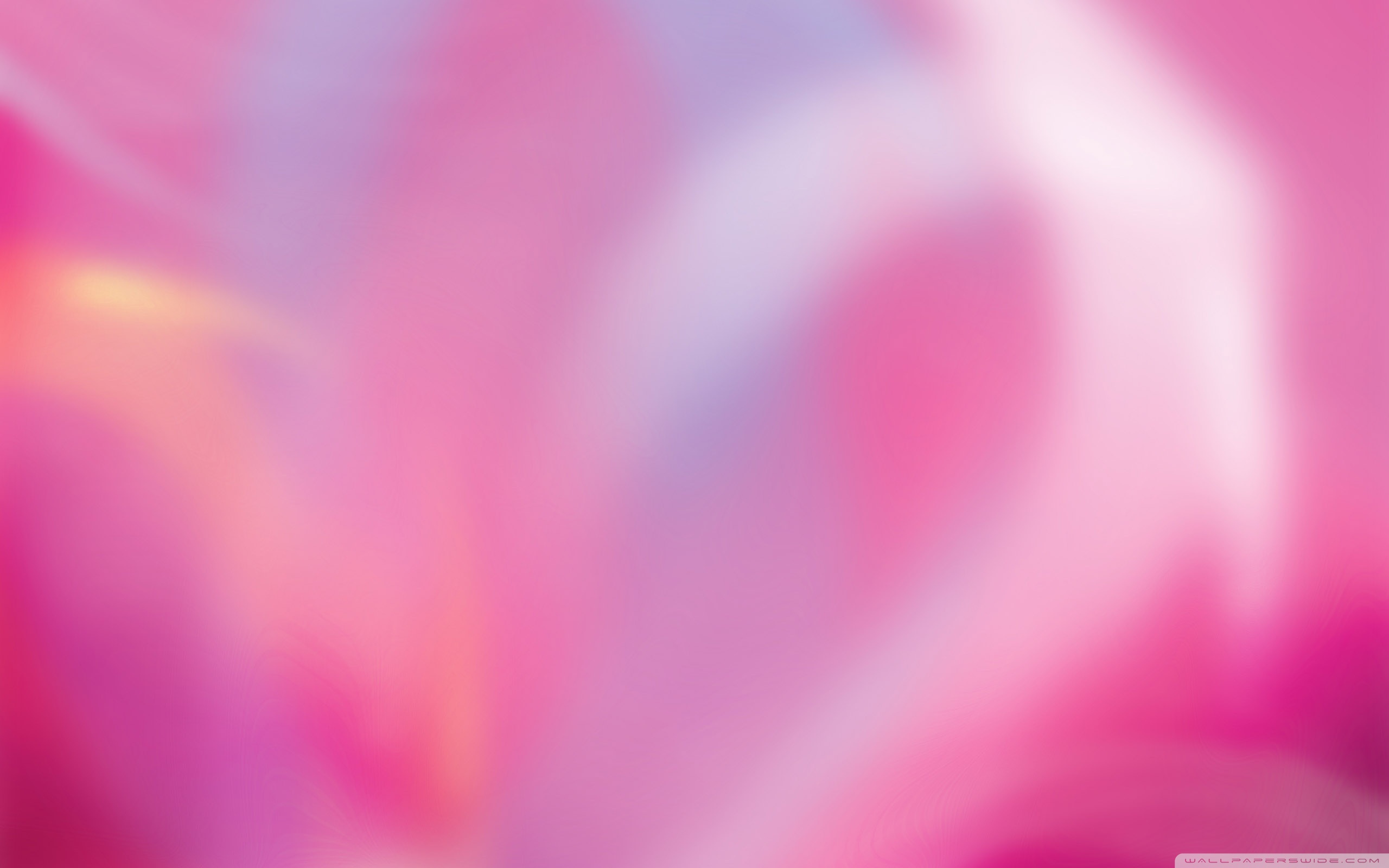 Wide Colorful Pink Backgrounds 407545 Hd Wallpaper