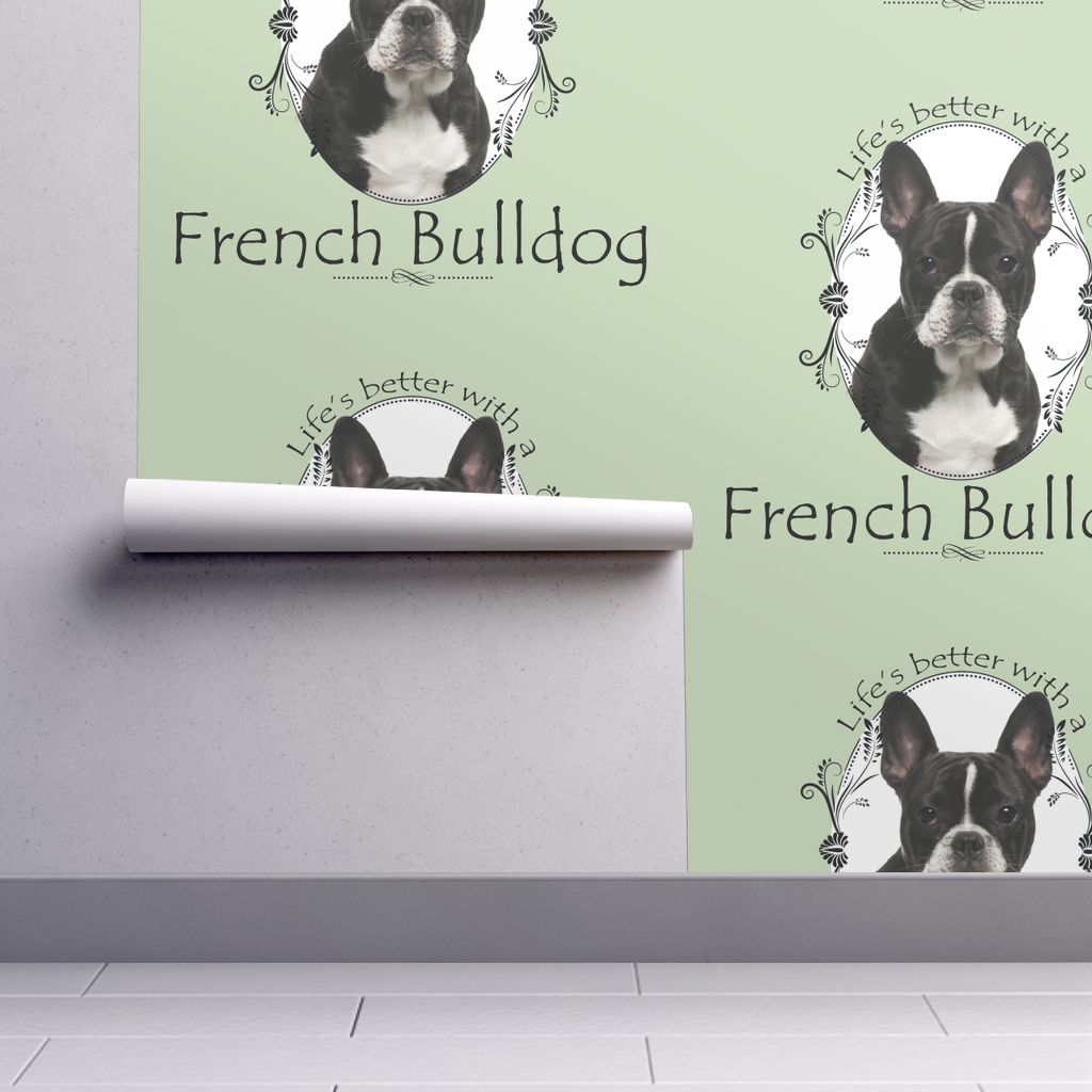 64 Roll L - Boston Terrier , HD Wallpaper & Backgrounds