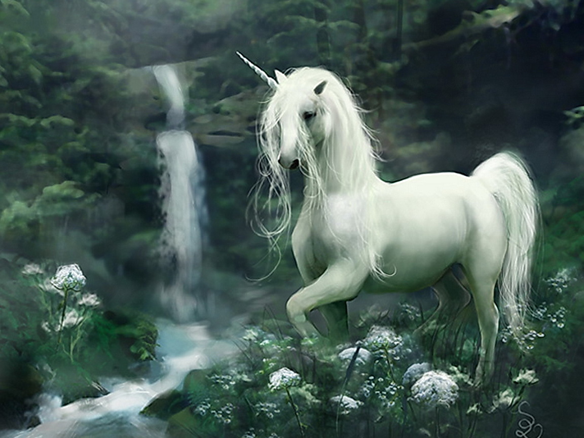 Unicorn Waterfall , HD Wallpaper & Backgrounds