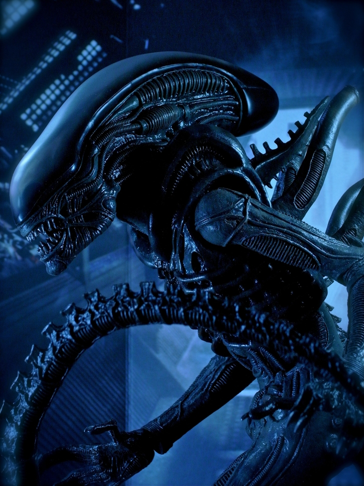 Alien Movie Wallpaper - Aliens Movie , HD Wallpaper & Backgrounds