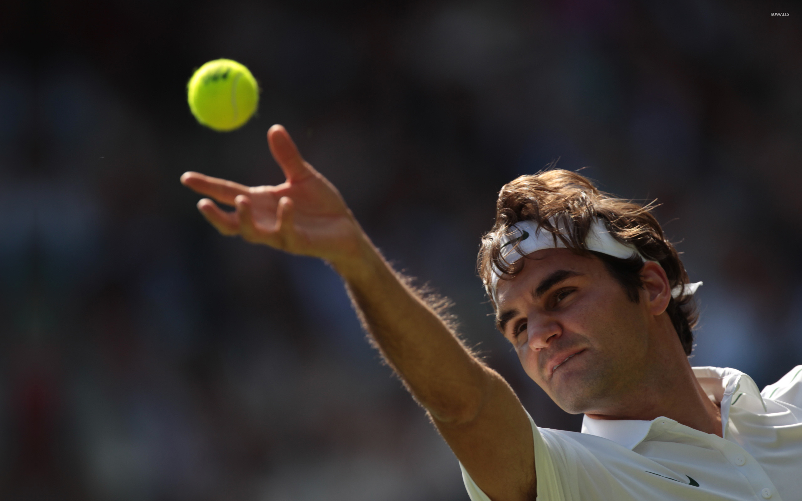 Roger Federer [6] Wallpaper - Roger Federer , HD Wallpaper & Backgrounds