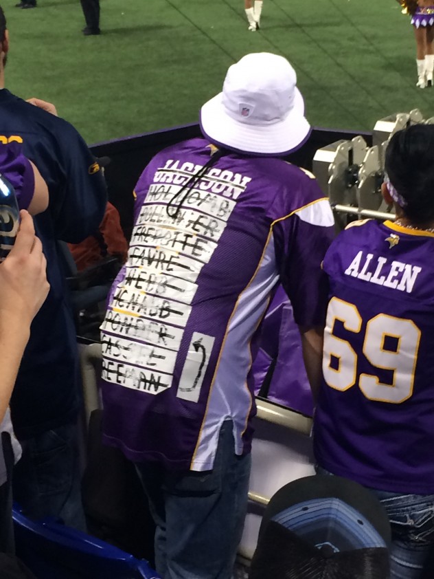 vikings cat jersey