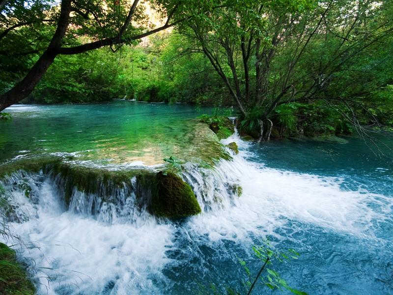 Hd Nature Wallpaper Download For Android - Forest Stream , HD Wallpaper & Backgrounds