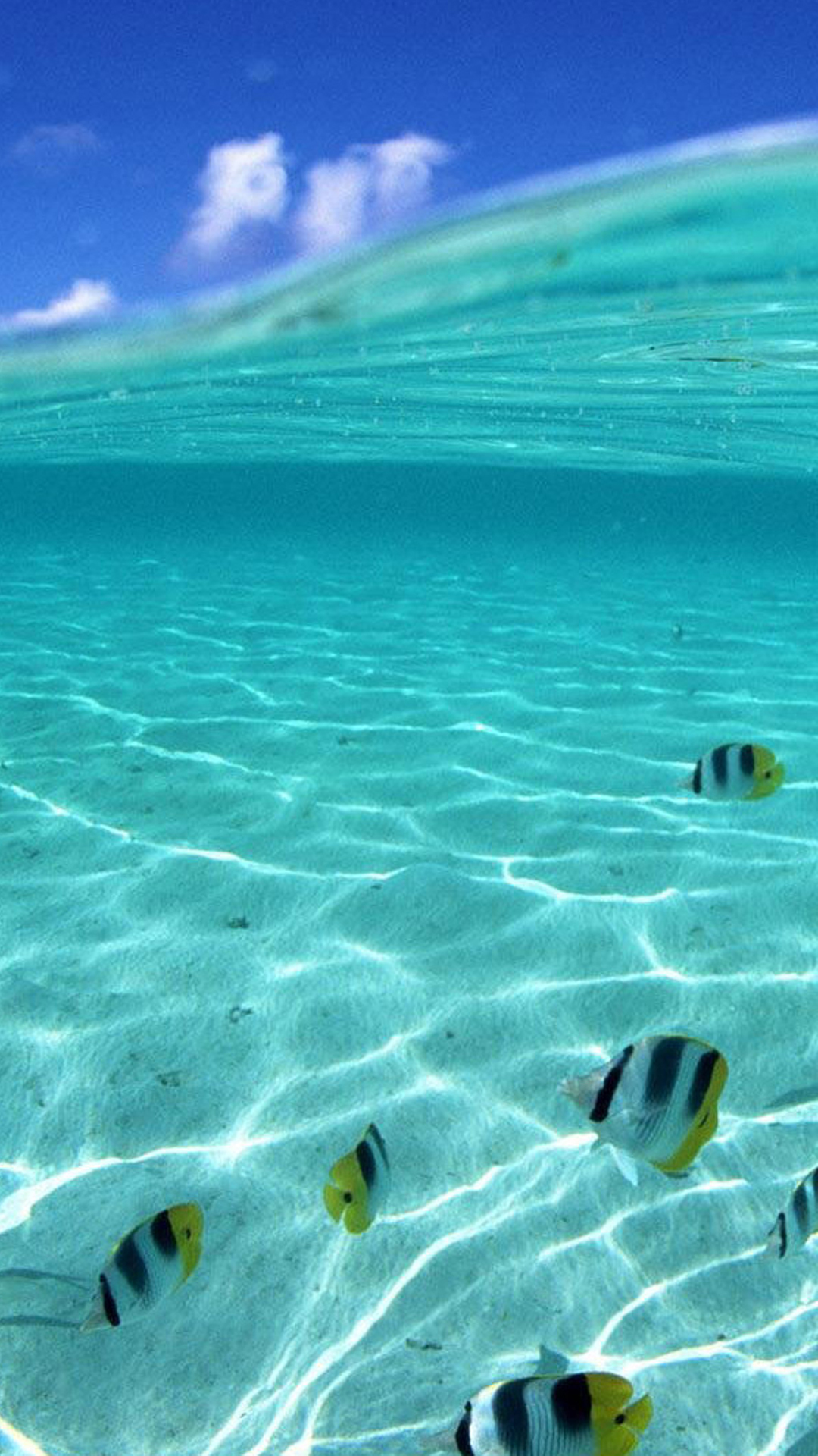 Half Underwater Smartphone Hd Wallpapers - High Resolution Photo Sea , HD Wallpaper & Backgrounds