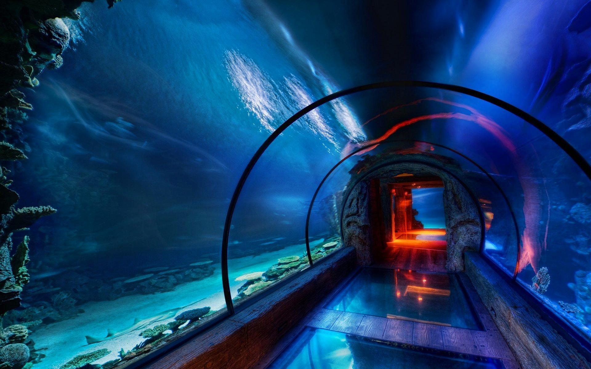 Underwater Tunnel Hd Desktop Wallpaper - Underwater Tunnel , HD Wallpaper & Backgrounds
