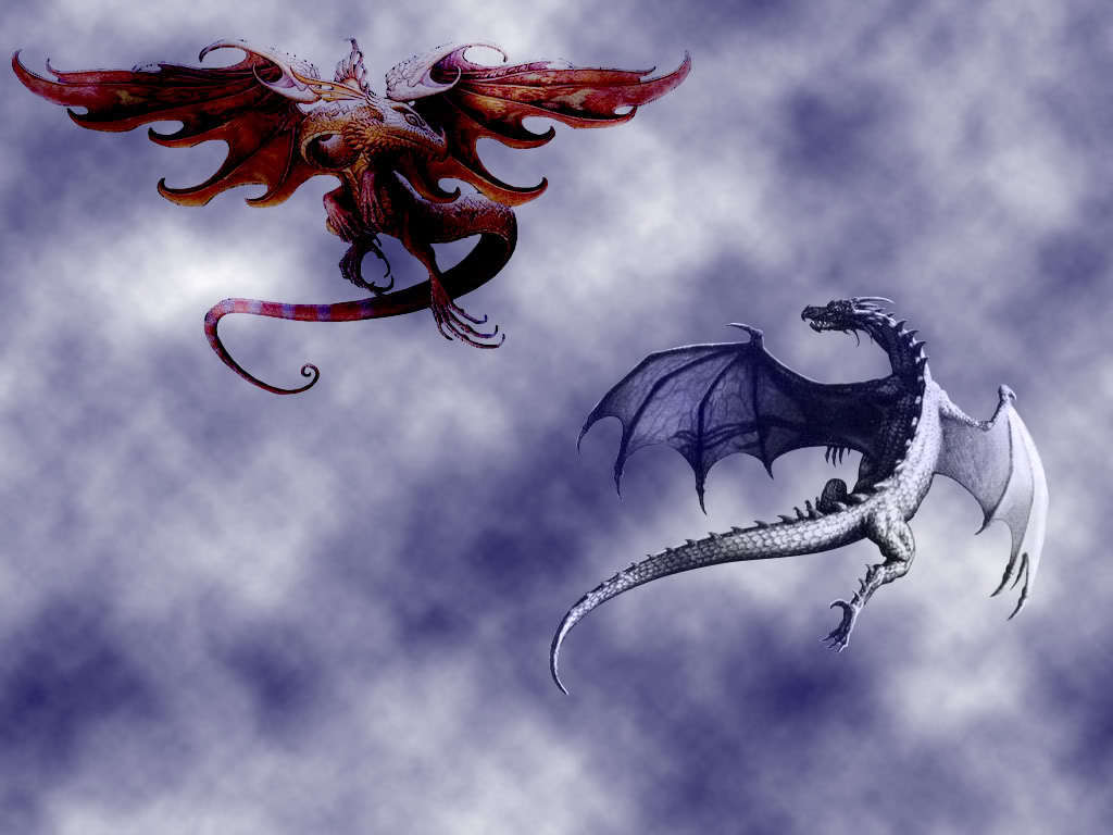 Fire And Ice Dragons Images Fire And Ice Dragons Hd - Ice Dragon And Fire Dragon , HD Wallpaper & Backgrounds