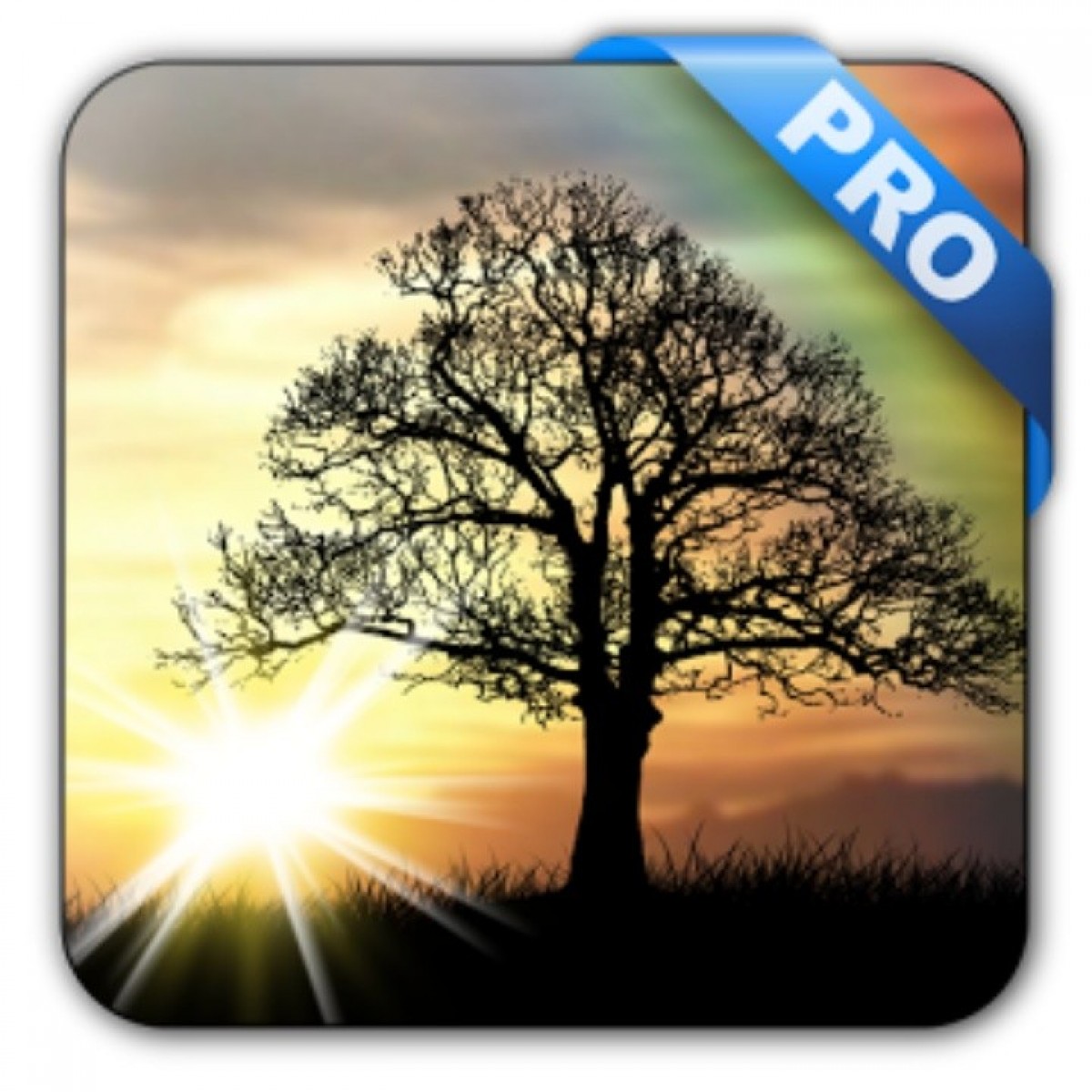 Sun Rise Pro Live Wallpaper V4 - Sunrise Live Wallpaper Apk , HD Wallpaper & Backgrounds