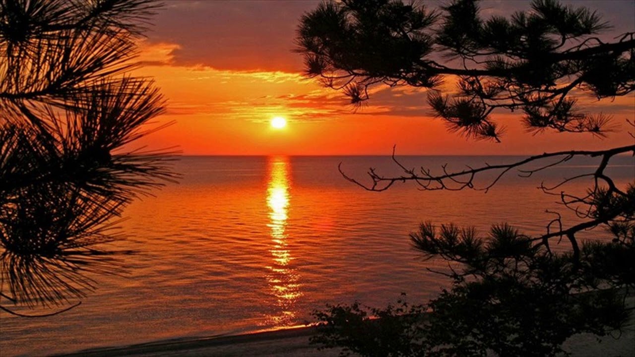 Beach Sunset Live Wallpaper ,goa, India - Florida East Coast Sunrise , HD Wallpaper & Backgrounds