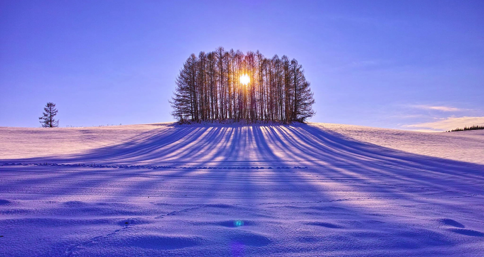 Winter Sunrise Behind The Trees Nature Hd Wallpaper - Winter Solstice , HD Wallpaper & Backgrounds
