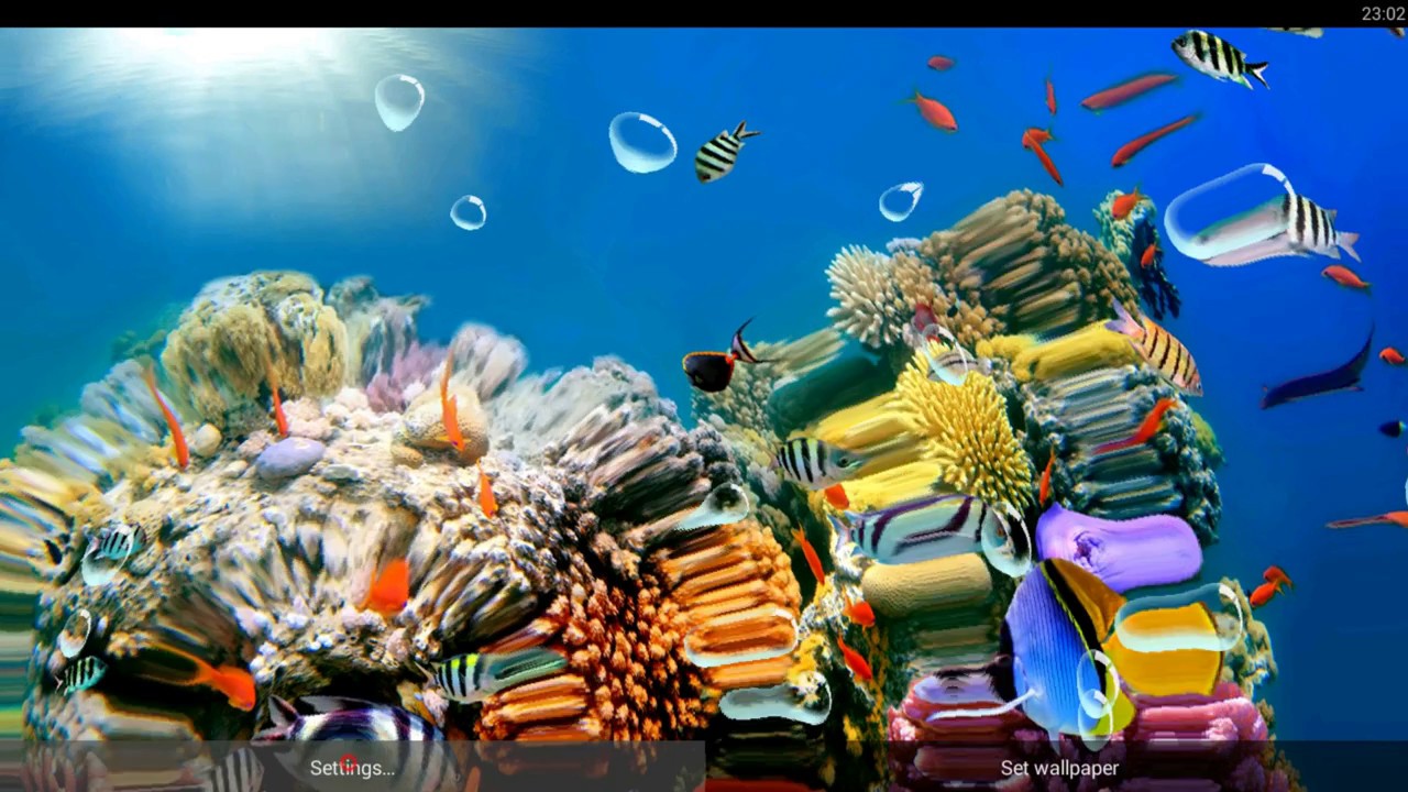 Underwater Live Wallpaper - Underwater , HD Wallpaper & Backgrounds