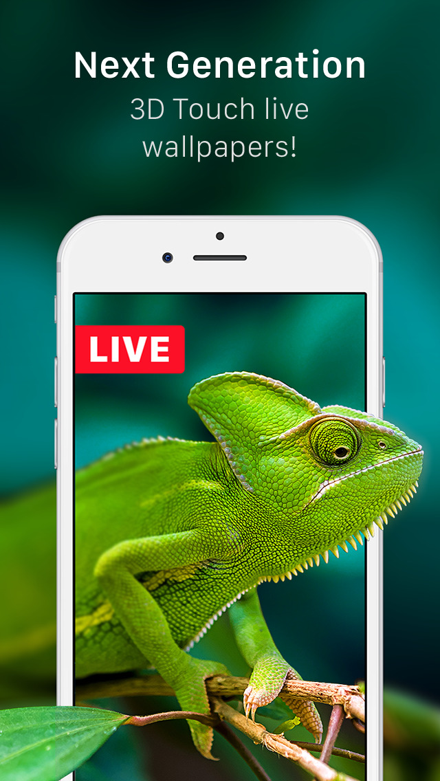 Lizard Live Wallpaper - Green Chameleons , HD Wallpaper & Backgrounds