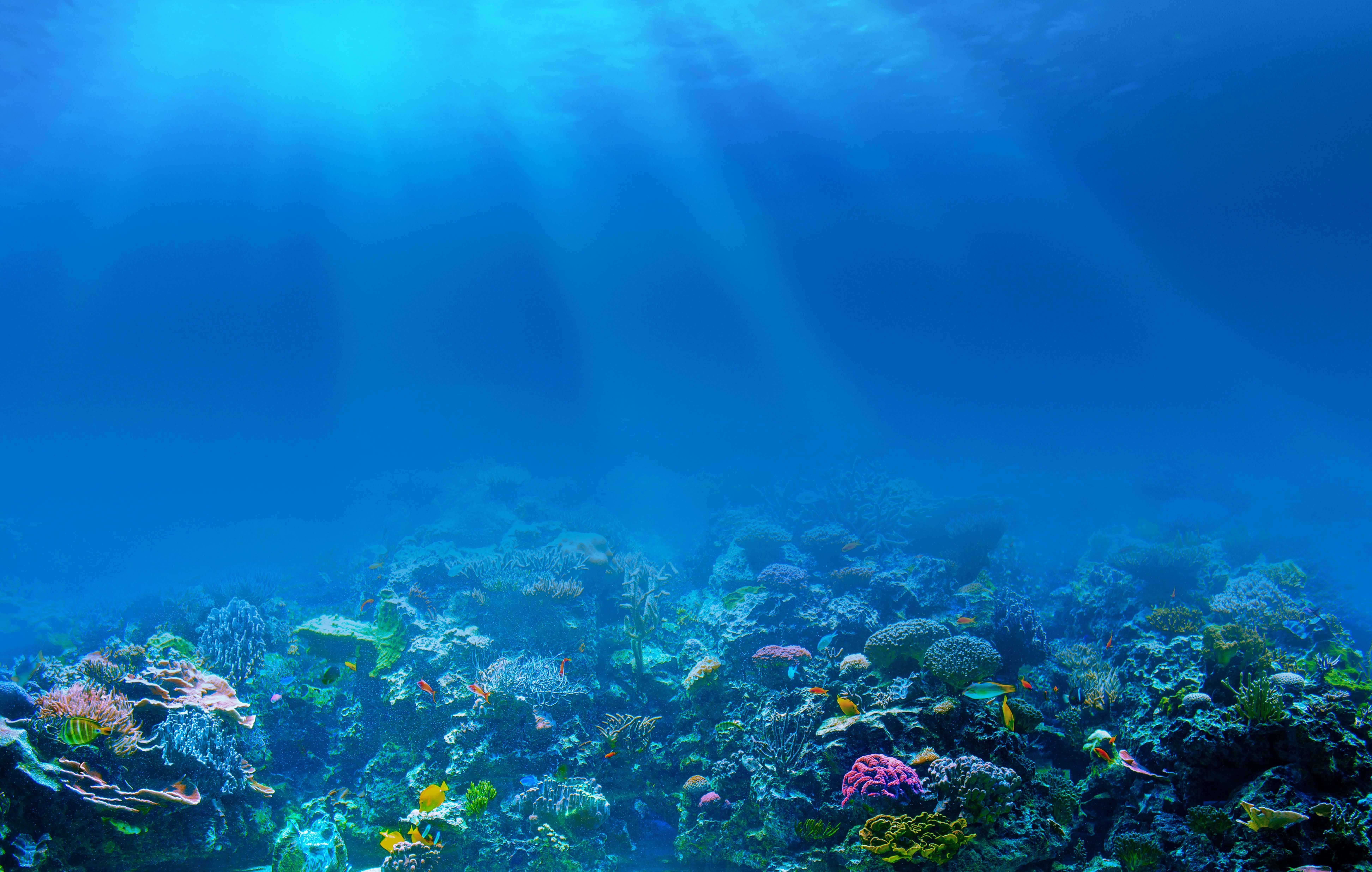 Download Live Wallpaper Hd Full Sea Ocean Underwater Rays - Modern 3d