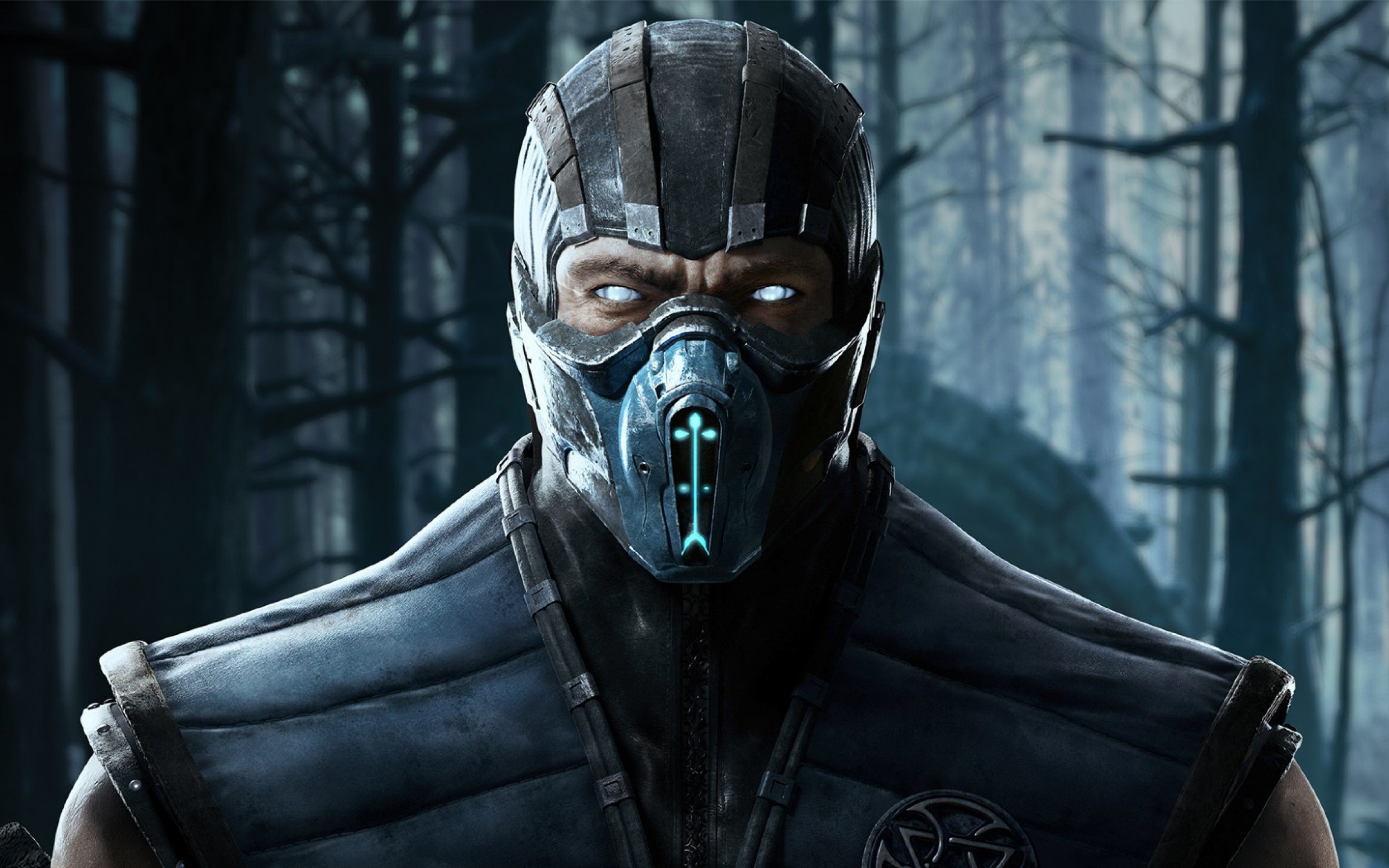 Mortal Kombat Sub Zero Wallpapers High Definition - Мортал Комбат Саб Зиро , HD Wallpaper & Backgrounds