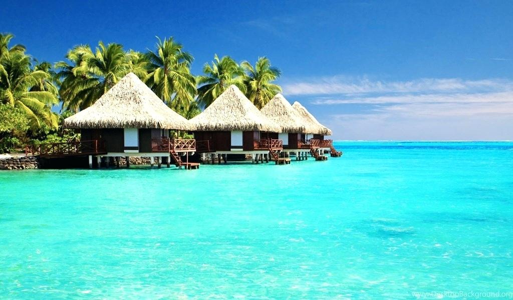Featured image of post Full Screen Nature Wallpaper For Android