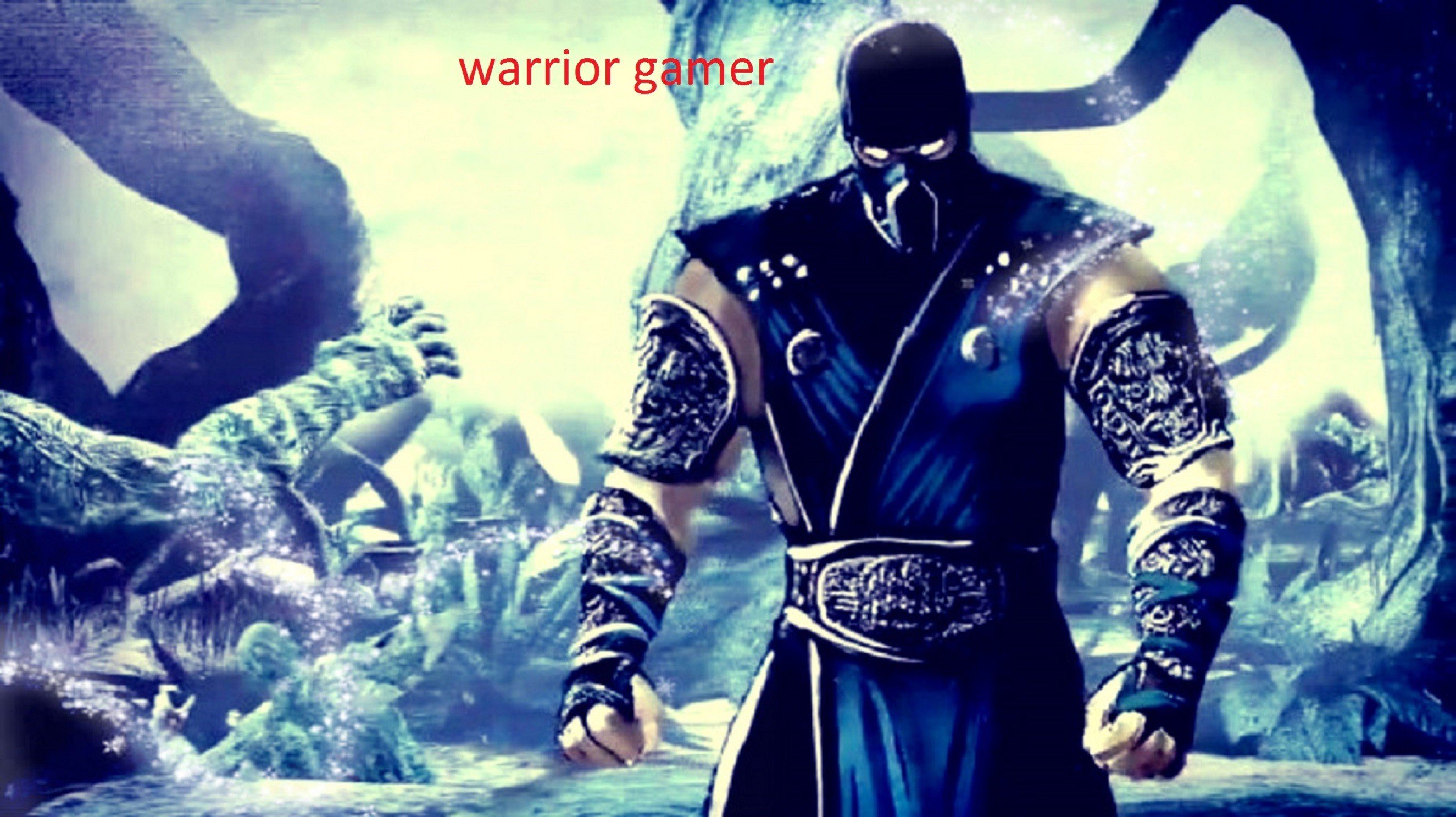 Sub Zero Mortal Kombat 9 , HD Wallpaper & Backgrounds
