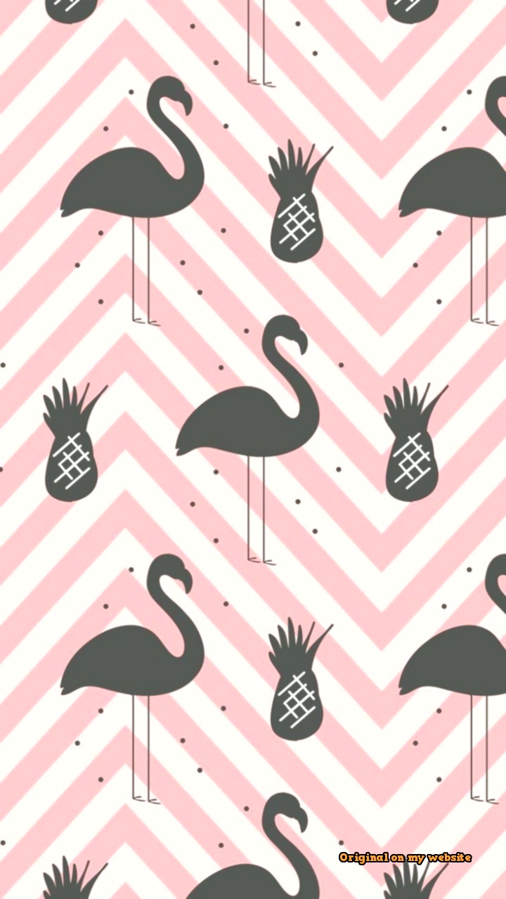 Wallpaper Tumblr Papel De Parede, Papel De Parede Fofo, - Greater Flamingo , HD Wallpaper & Backgrounds
