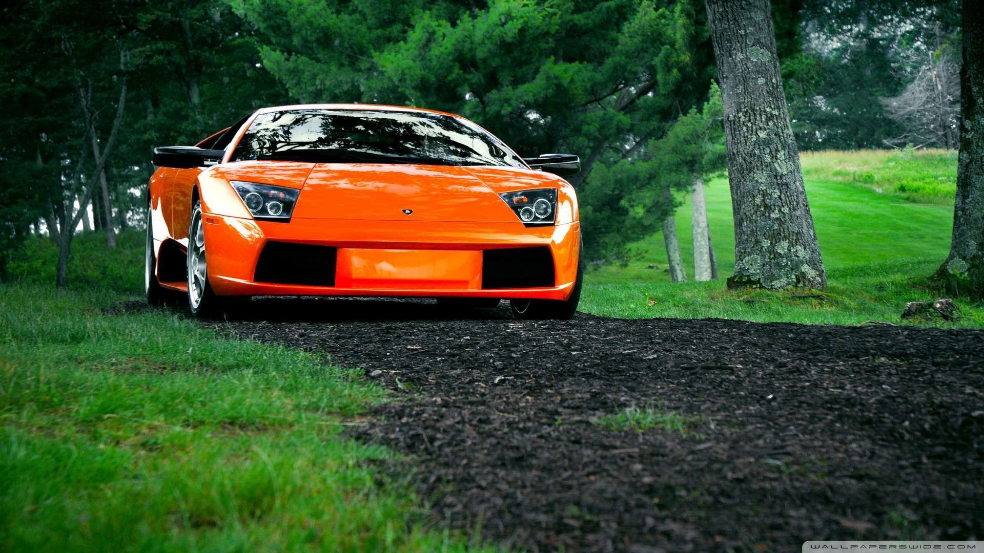 Lamborghini - Cars Hd Wallpapers 1080p Lamborghini , HD Wallpaper & Backgrounds