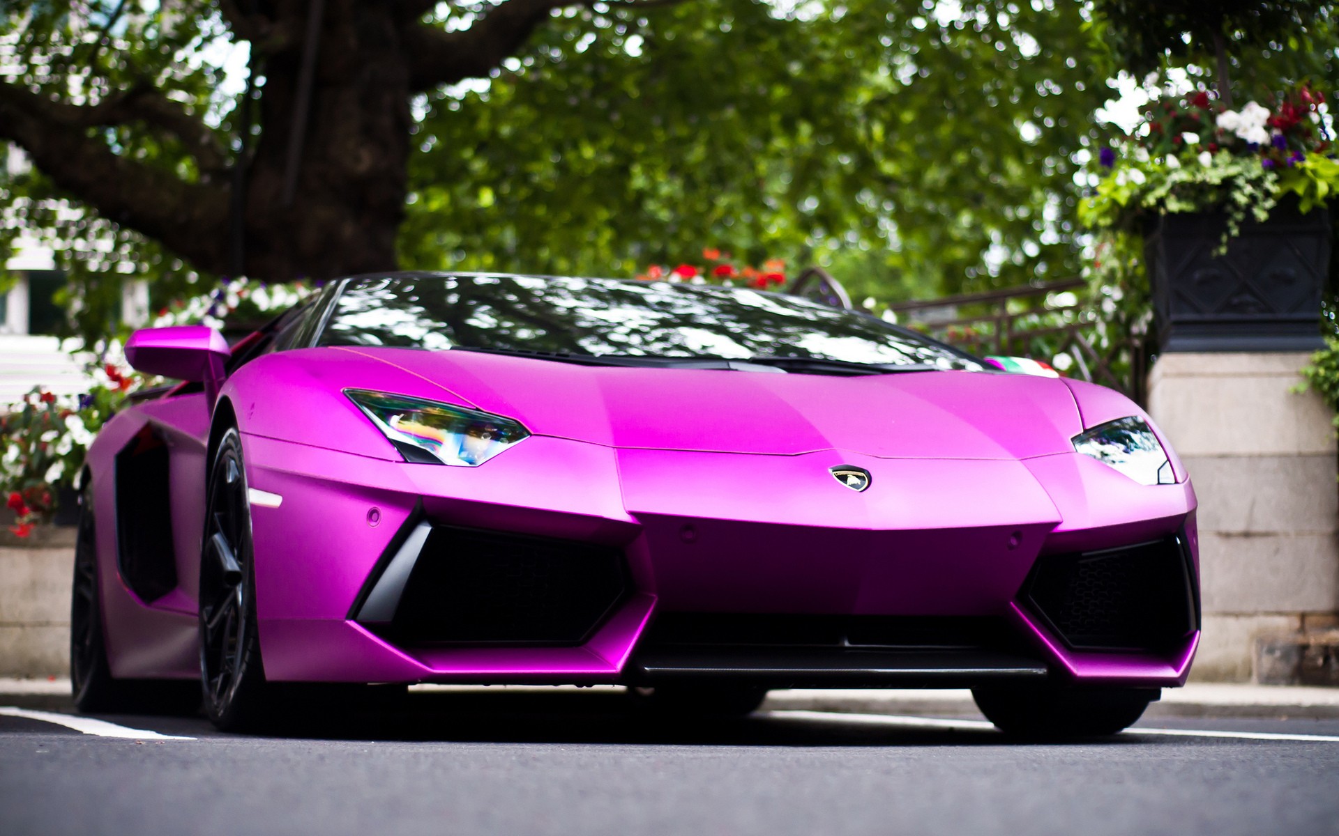 Pink Lambo Wallpaper - Windows 10 Lamborghini Themes , HD Wallpaper & Backgrounds