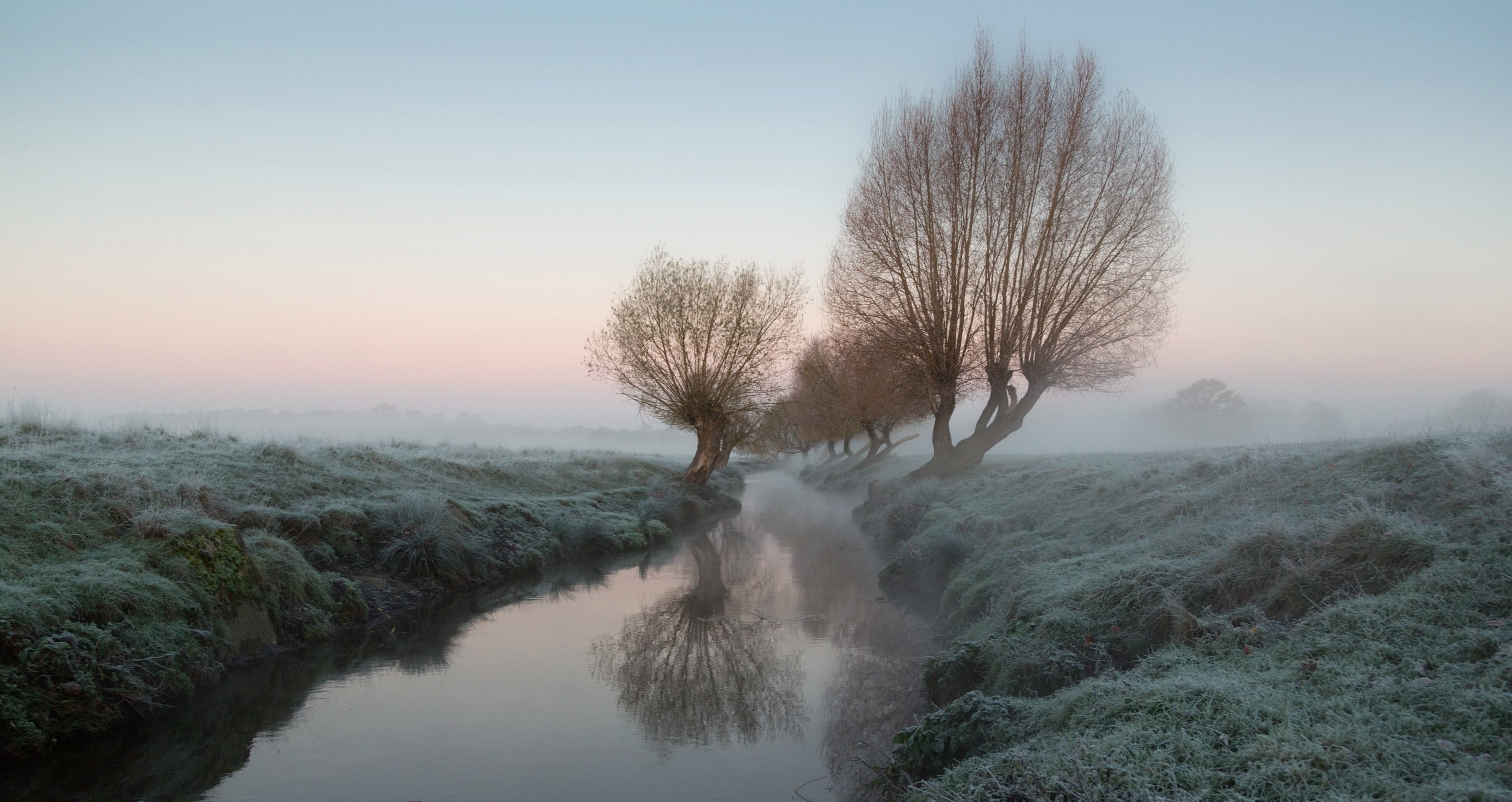 Nature Snow Landscape Winter Hd Latest Wallpapers - Tree , HD Wallpaper & Backgrounds