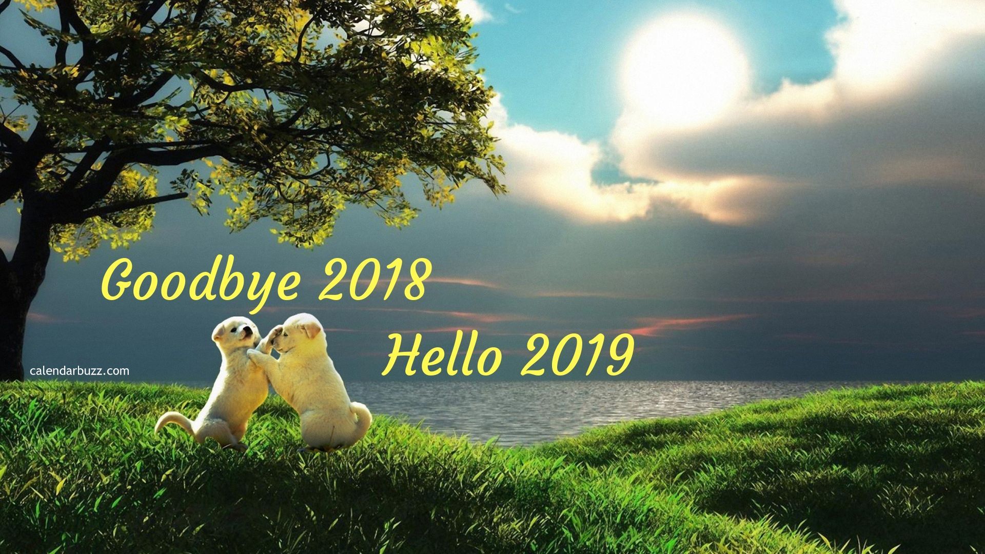 Goodbye 2018 Welcome 2019 Hd Wallpaper - Cute Nature Images Hd , HD Wallpaper & Backgrounds
