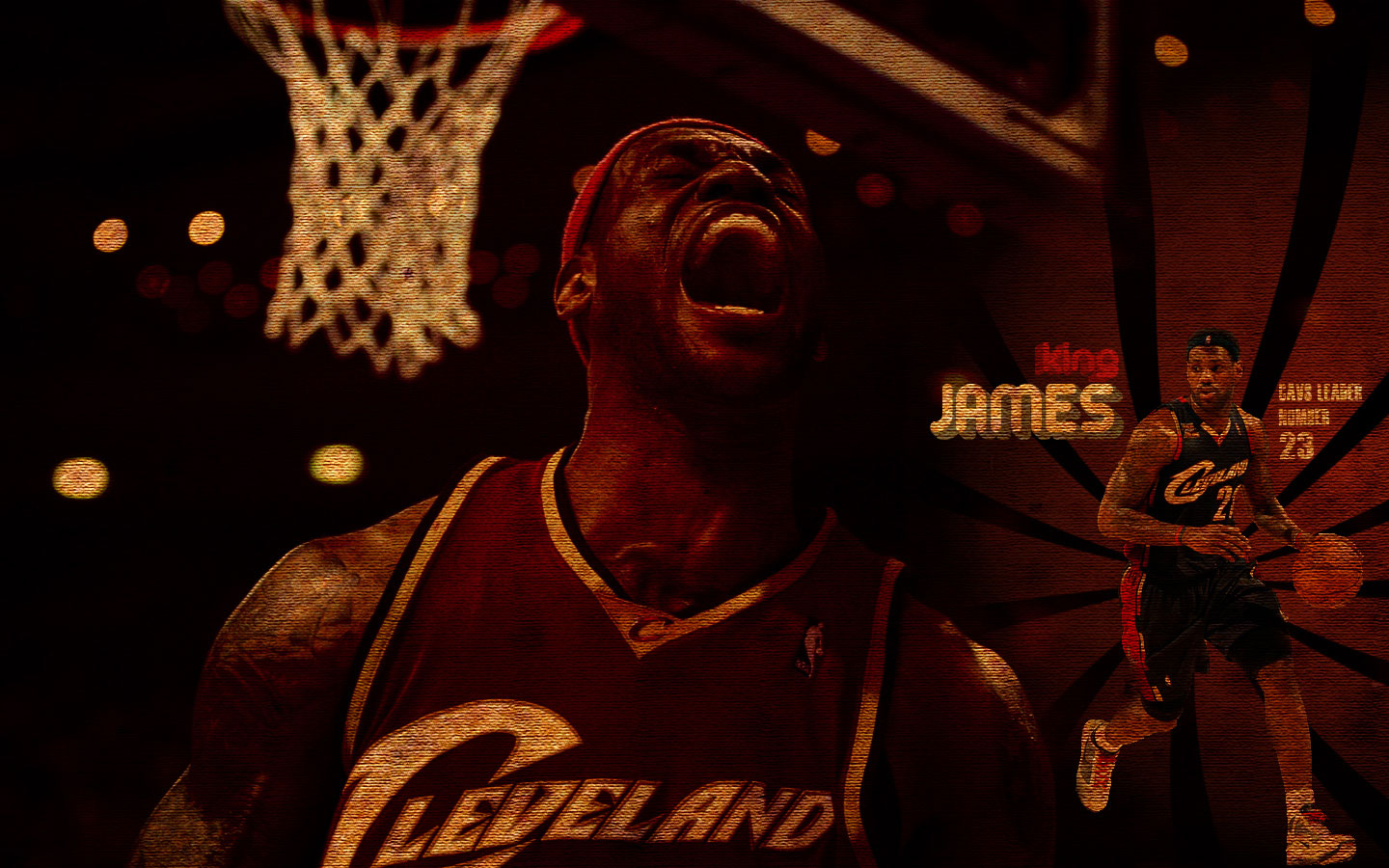 King James Cavaliers Widescreen Wallpaper - Lebron James , HD Wallpaper & Backgrounds