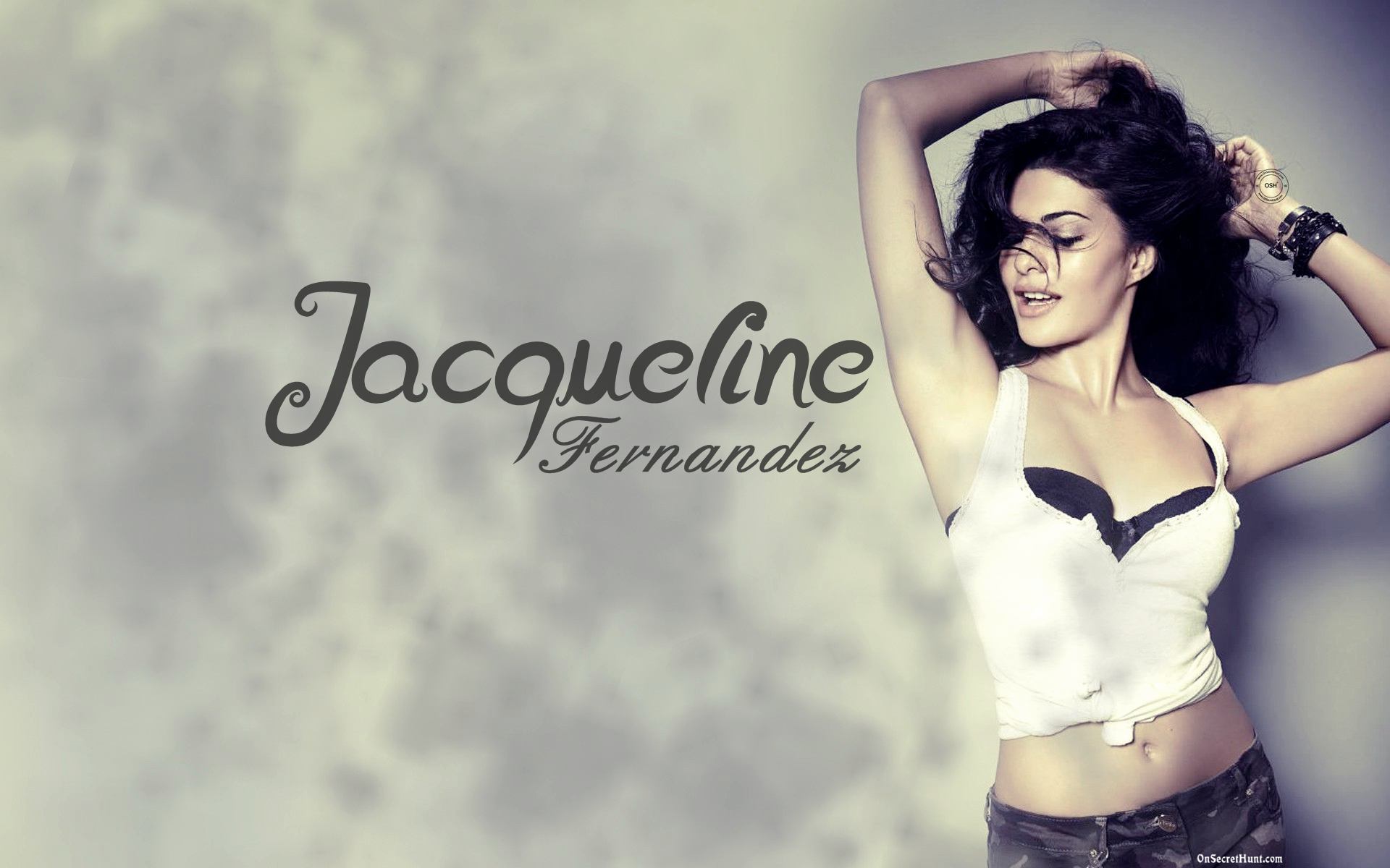 Jacqueline Fernandez Laptop , HD Wallpaper & Backgrounds