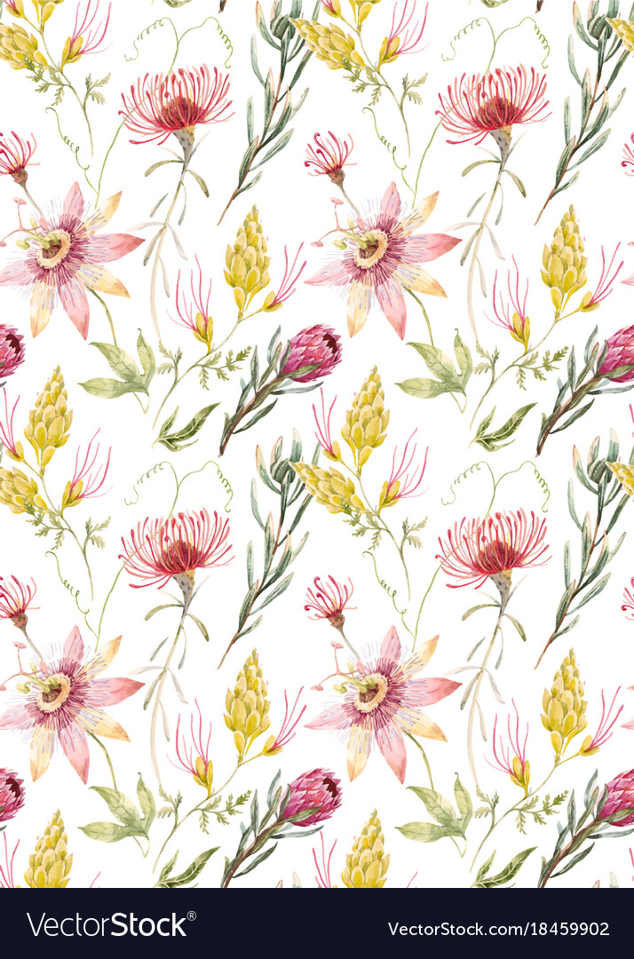 Watercolor Floral Pattern Vector Image - Watercolour Australian Native Flower , HD Wallpaper & Backgrounds