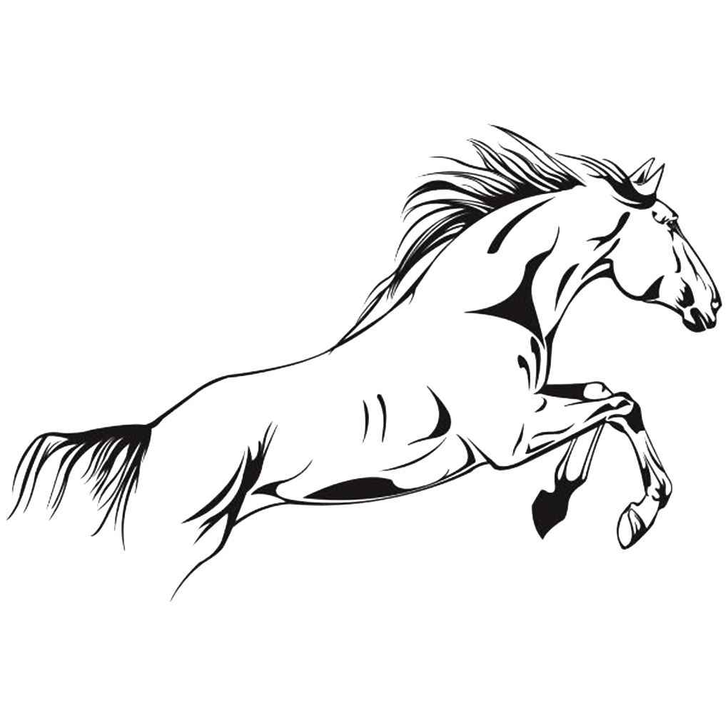 Aliexpress - Running Horse Black And White , HD Wallpaper & Backgrounds