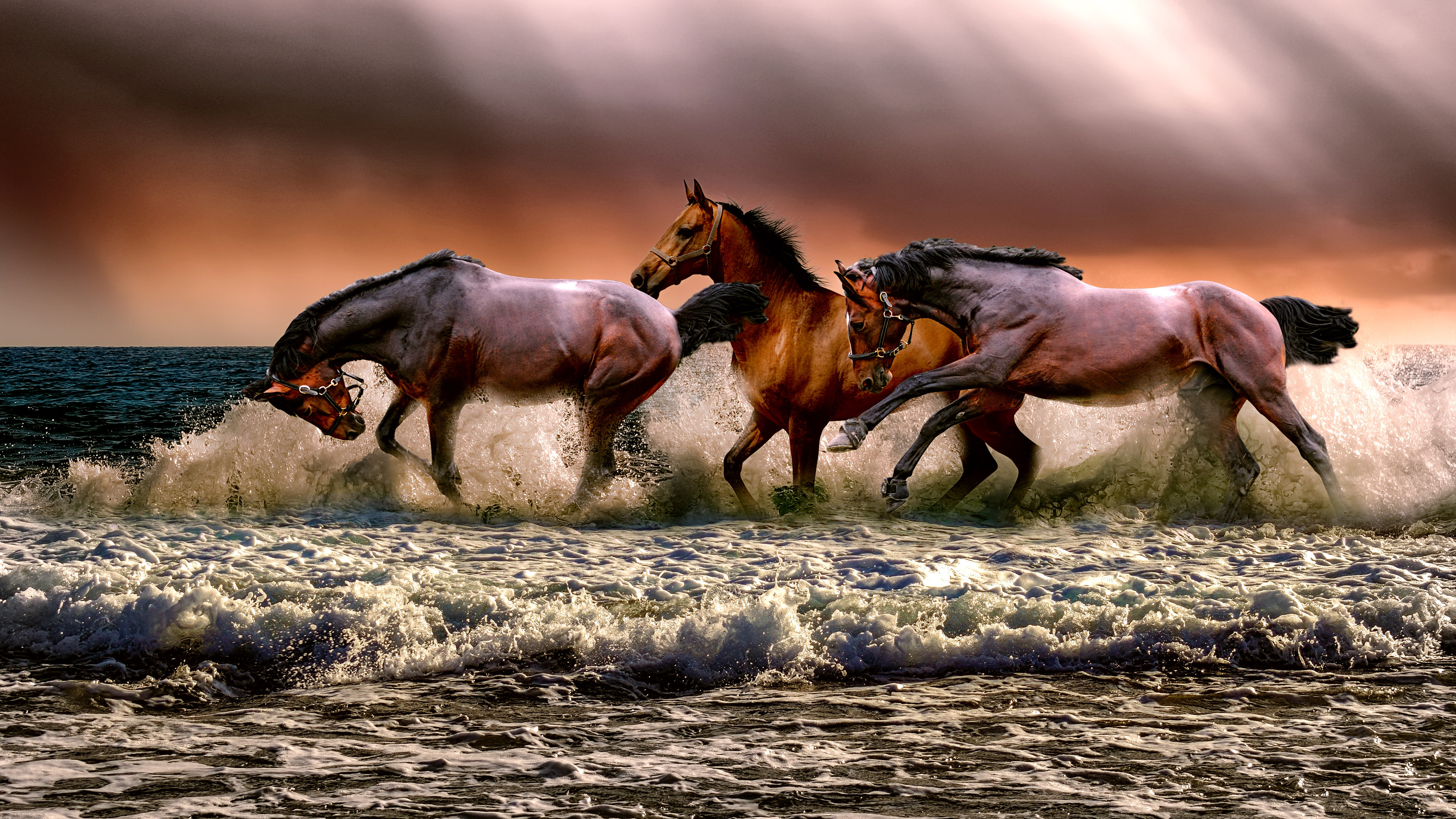 Running Horses Wallpaper - Laptop Wallpaper 4k Download , HD Wallpaper & Backgrounds