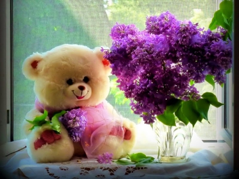 Teddy Bear Day 2017 Quotes Wishes, Teddy Day Images - Nice Photos Of Teddy Bears , HD Wallpaper & Backgrounds