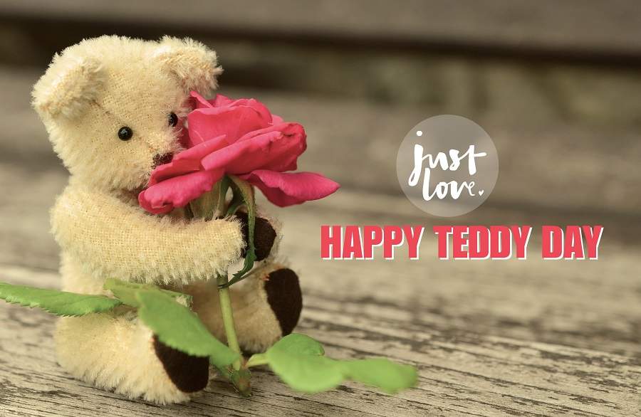 happy teddy day 2019