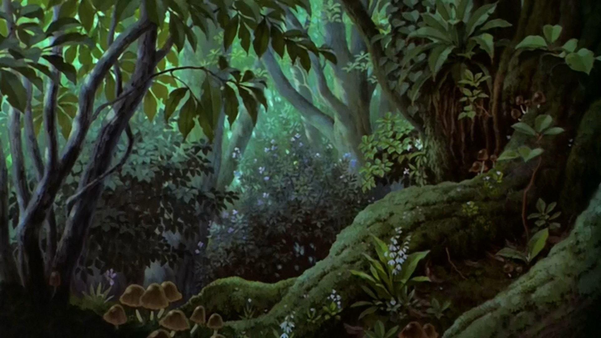 Princess Mononoke Wallpaper Hd - Princess Mononoke Forest Gif , HD Wallpaper & Backgrounds