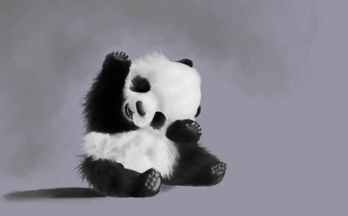 Cute Baby Panda Wallpaper Tumblr Amazing Wallpaper - Cute Panda Whatsapp Dp , HD Wallpaper & Backgrounds