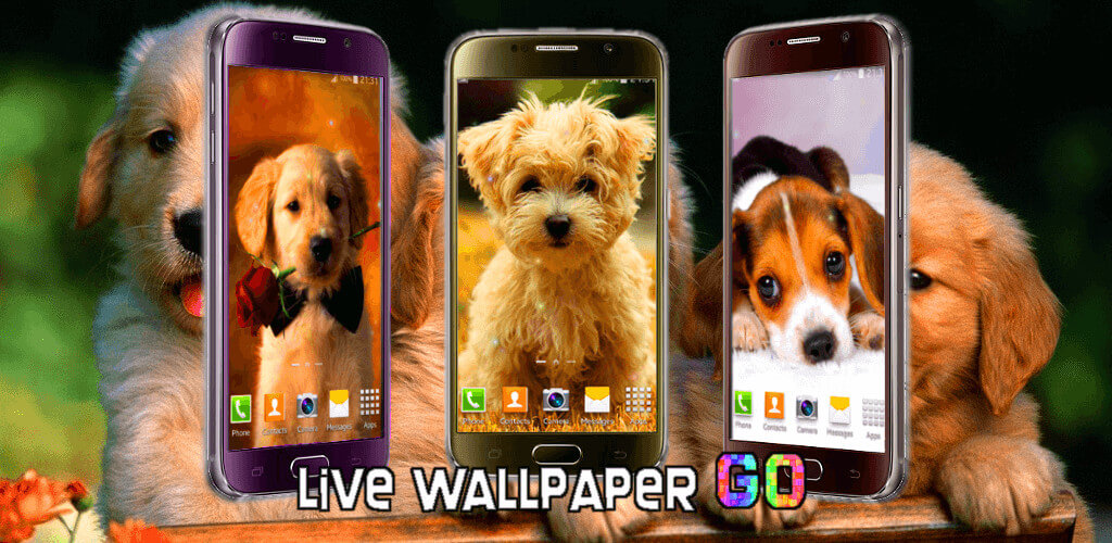 Accessories [free] Puppies Live Wallpaper - Golden Retriever Puppies , HD Wallpaper & Backgrounds