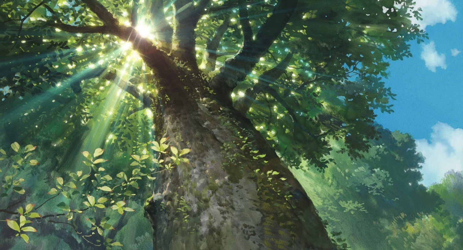 Studio Ghibli Wallpaper Forest - Studio Ghibli Trees , HD Wallpaper & Backgrounds