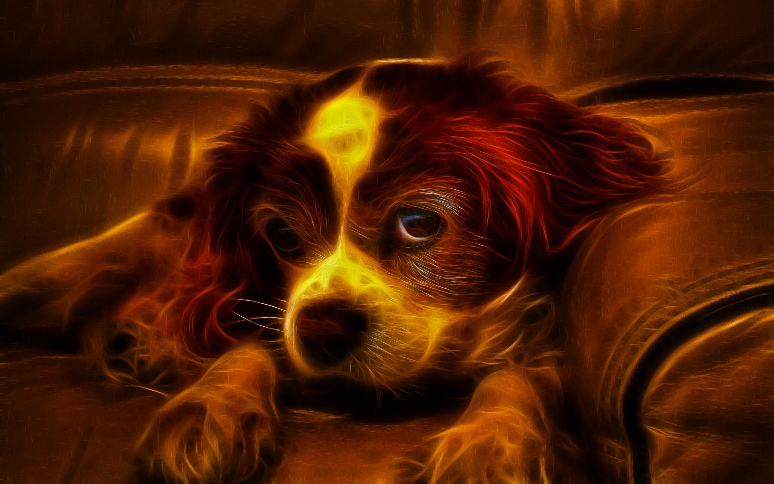 3d Cute Dog Hd Live Wallpaper Download 3d Cute Dog , HD Wallpaper & Backgrounds