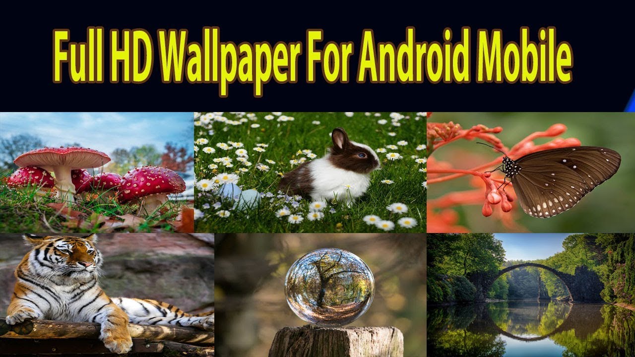 New Latest 2109 Hd Nature Wallpaper Download For Android - Collage , HD Wallpaper & Backgrounds
