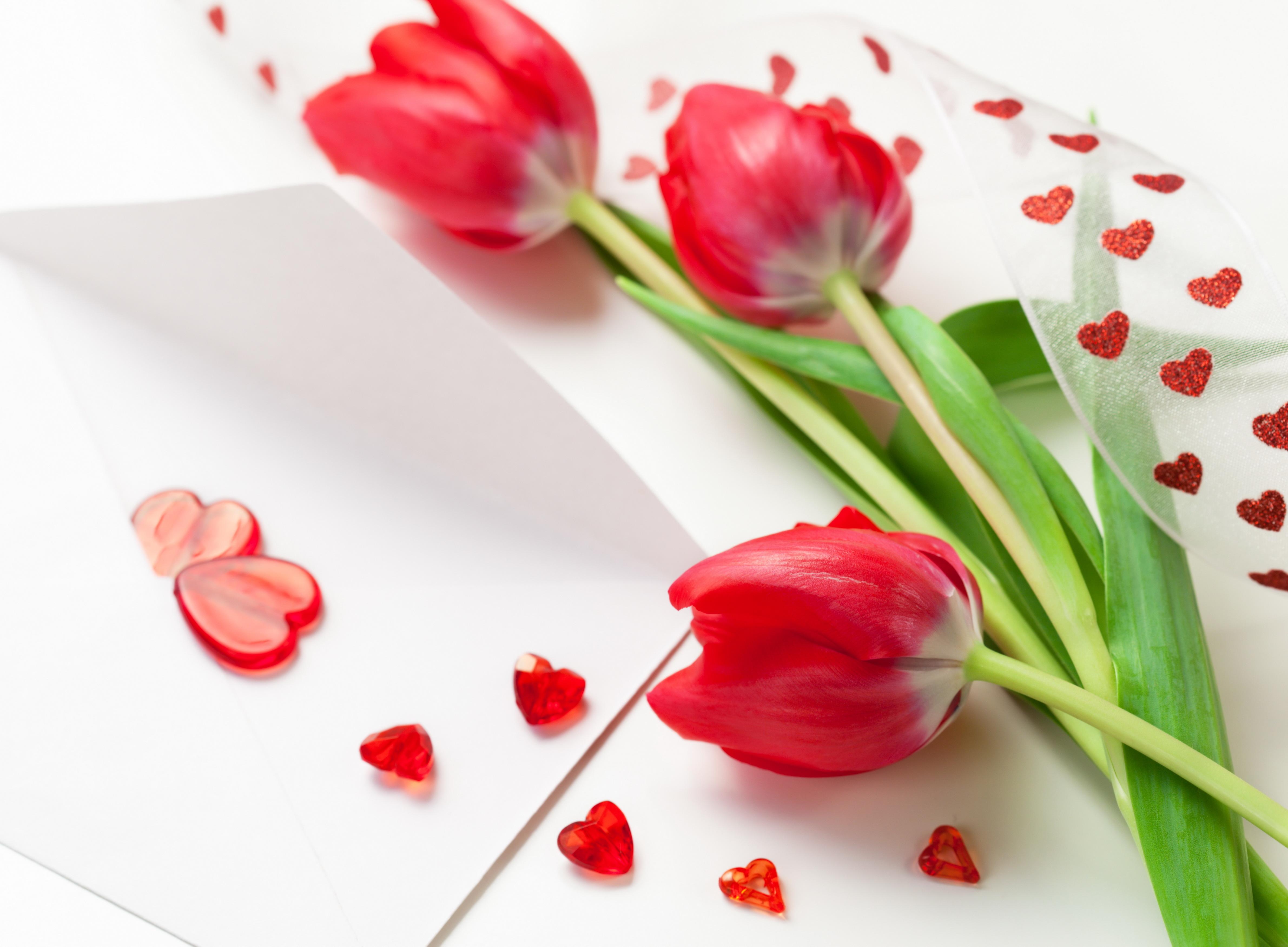 Beautiful Love Wallpapers - Flower Love Wallpaper For Desktop , HD Wallpaper & Backgrounds