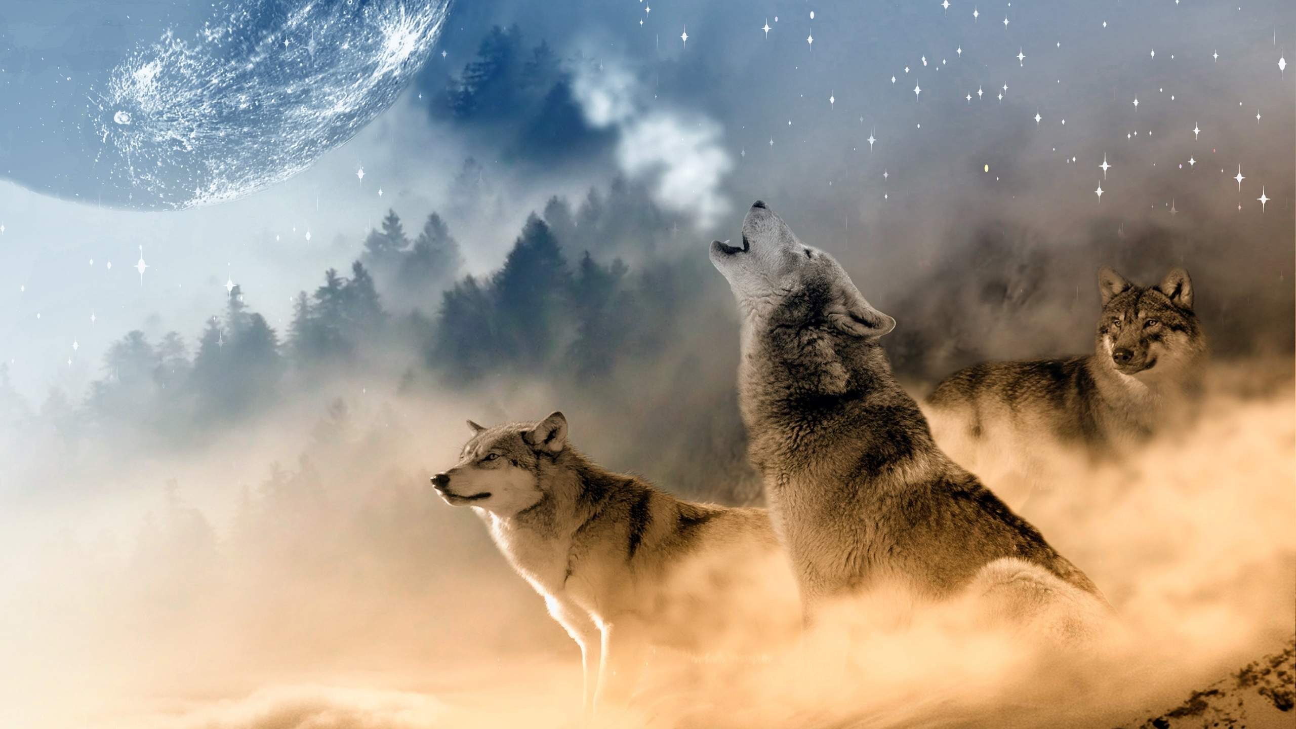 Wolf Howling At The Moon Wallpaper Hd Download For - Wolf Howl Wallpaper Hd , HD Wallpaper & Backgrounds