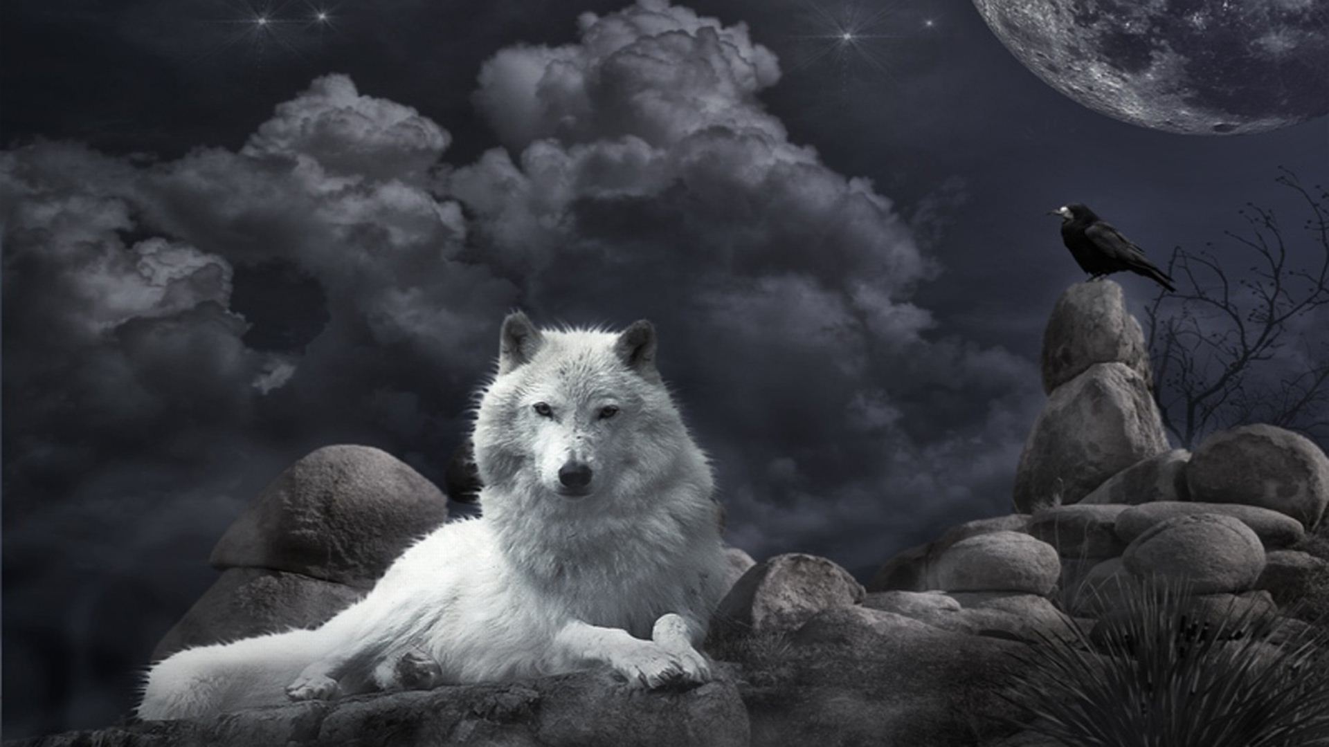 Wolves Wallpapers For Desktop - Hd Wallpaper Winter Wolves , HD Wallpaper & Backgrounds