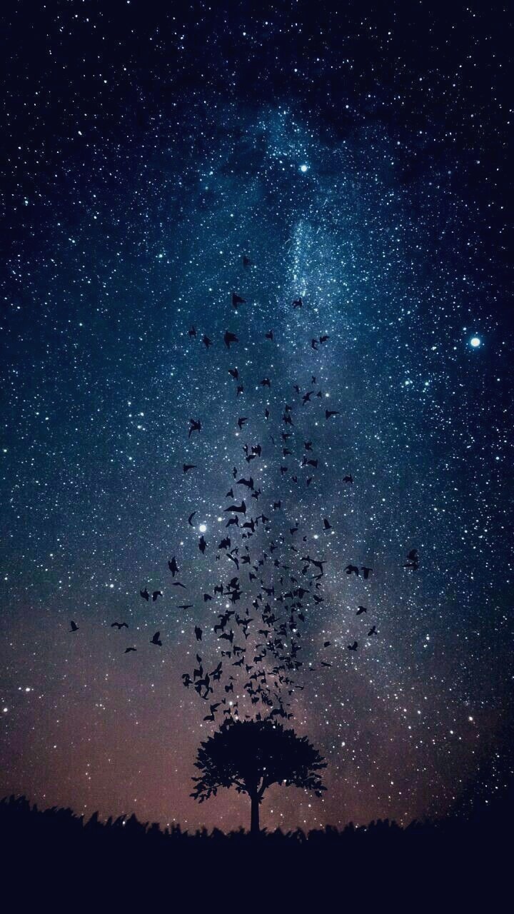 Ciel Nocturne Mobile Wallpaper Lock Screen Wallpaper - Night Sky Phone , HD Wallpaper & Backgrounds