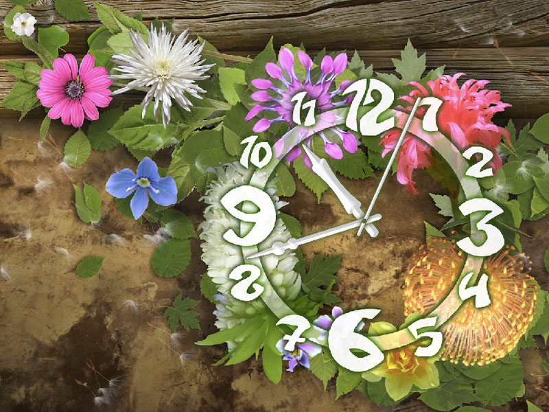 Flower Clock Live Wallpaper - Flower Clock , HD Wallpaper & Backgrounds