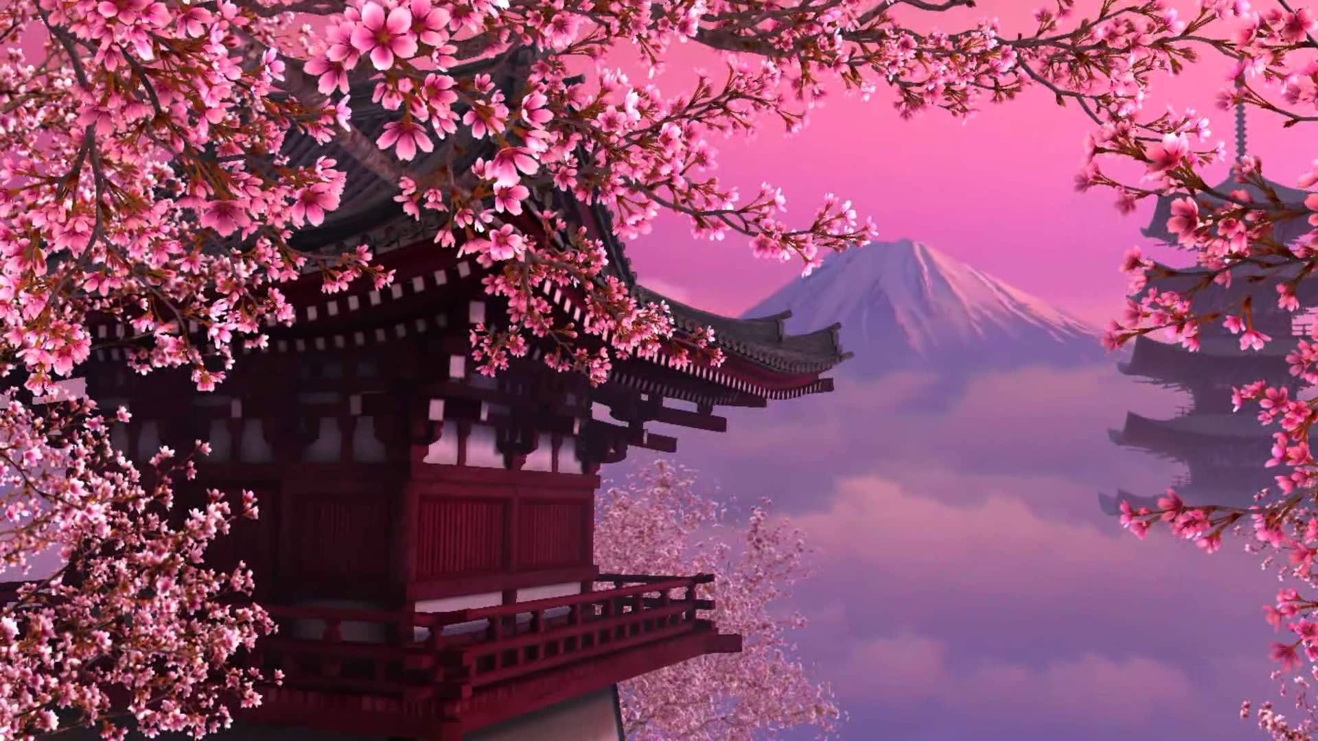 237 Cherry Blossom Hd Wallpapers - Cherry Blossom Japan Hd , HD Wallpaper & Backgrounds