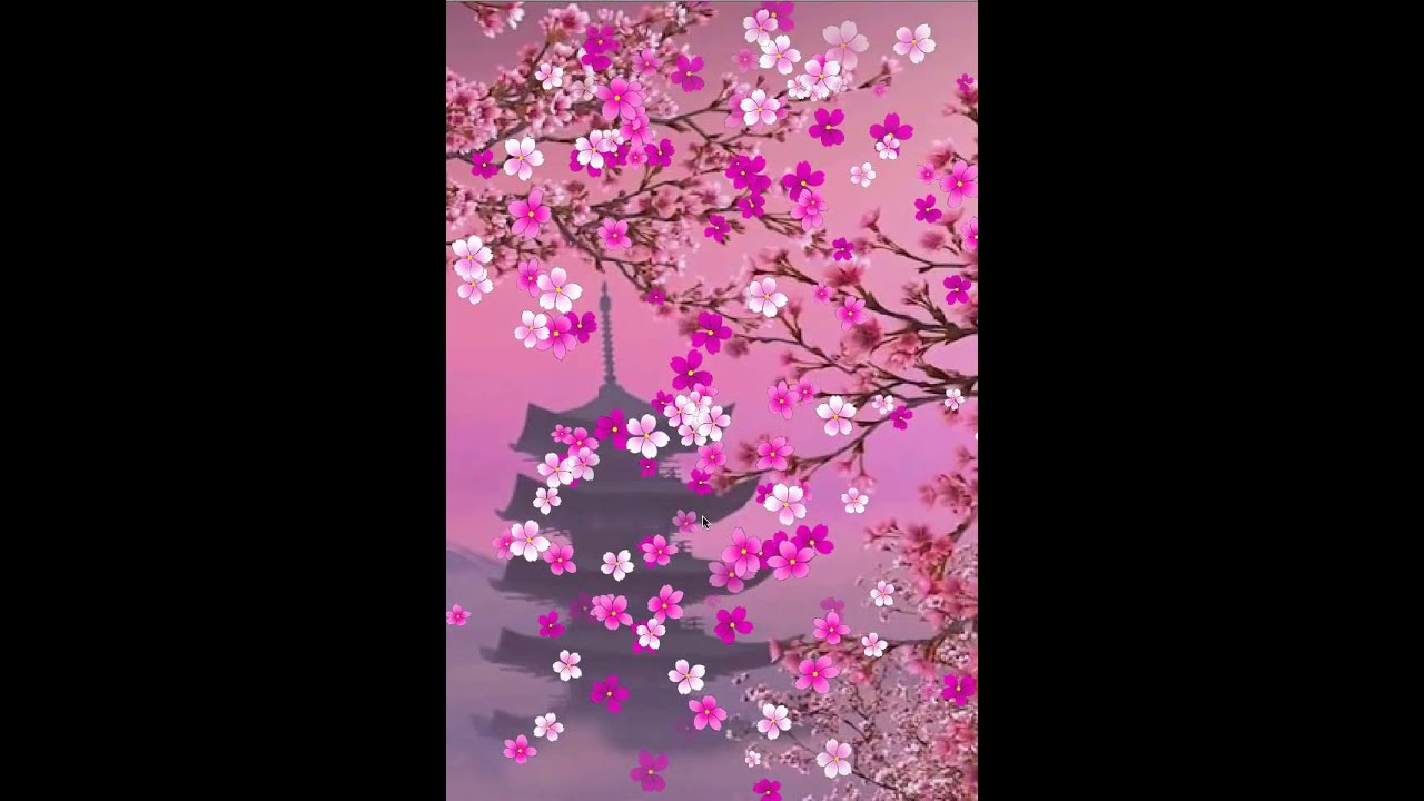 Sakura Live Wallpaper And Daydream - Cherry Blossom , HD Wallpaper & Backgrounds