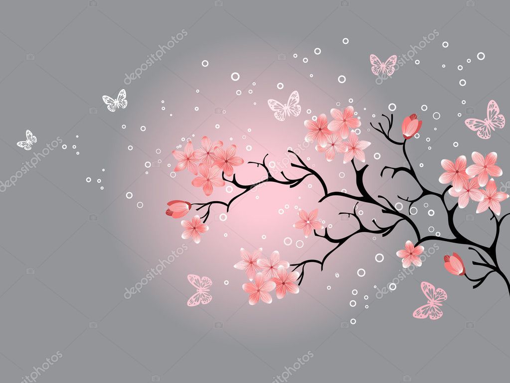 Cherry Blossom Grey Background Stock Vector 169 Ishmel - Grey Background With Cherry Blossom , HD Wallpaper & Backgrounds