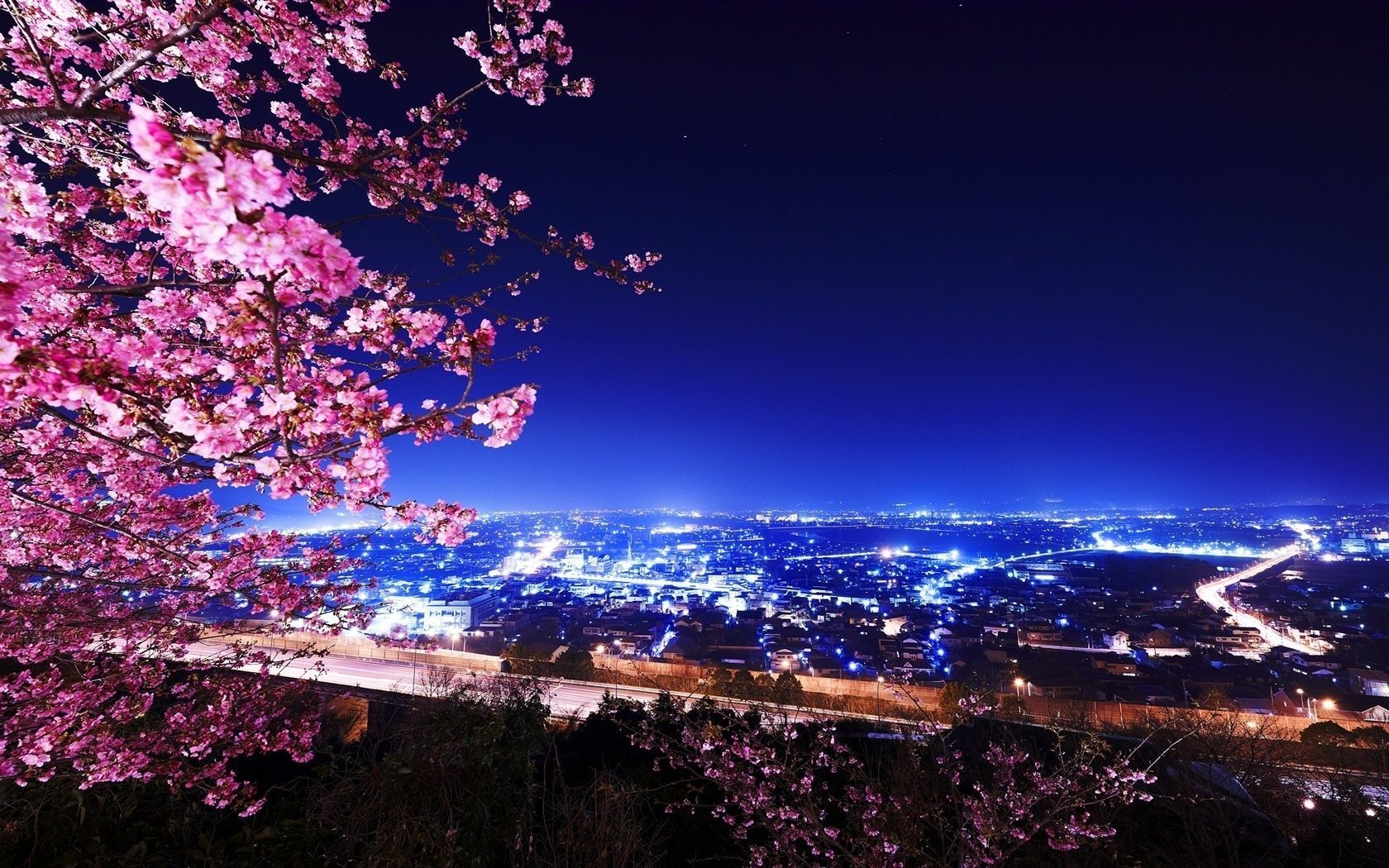 High Definition Live Sakura Backgrounds - Amazing Night City Photography , HD Wallpaper & Backgrounds