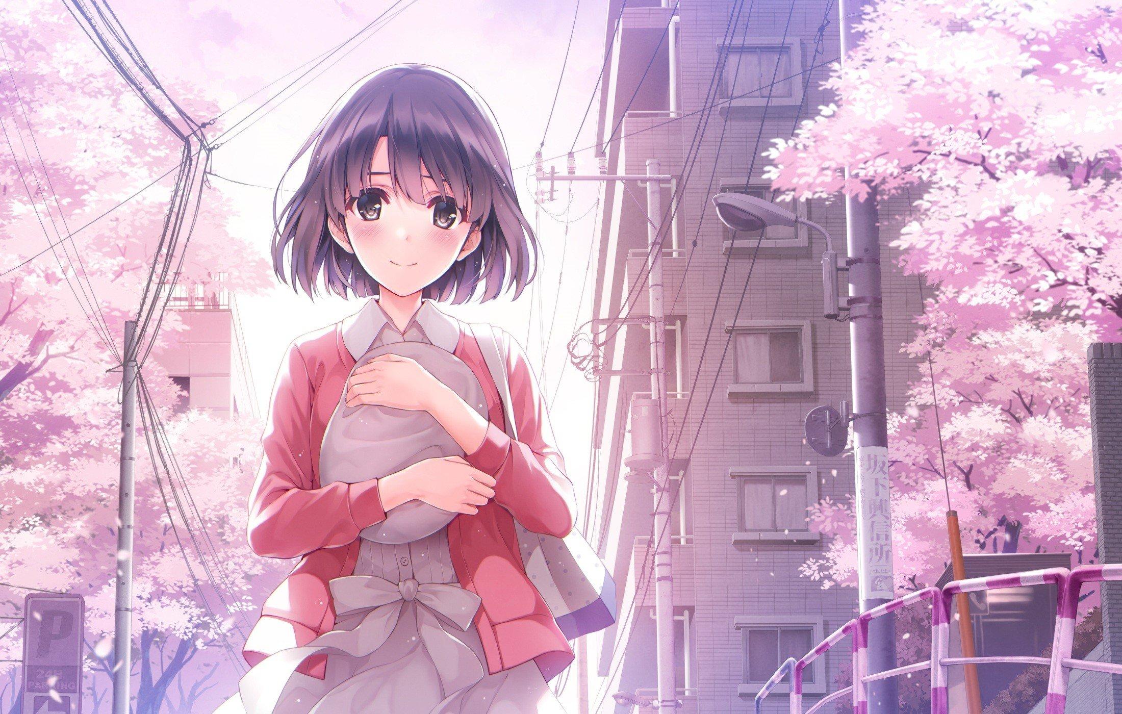 Anime Cherry Blossom Wallpaper - Megumi Kato Wallpaper Hd , HD Wallpaper & Backgrounds